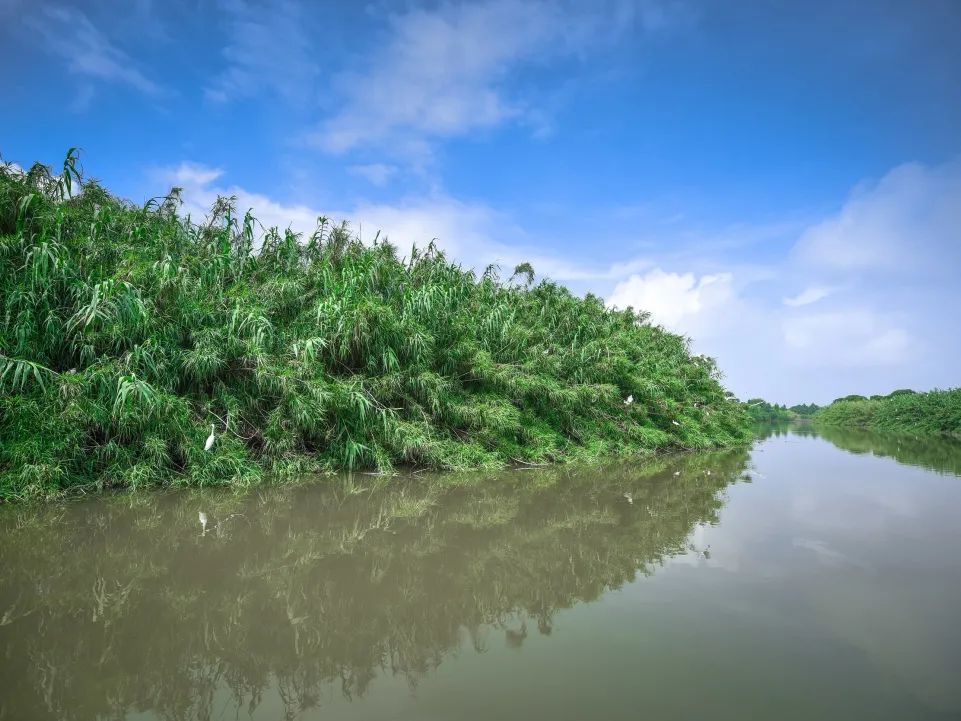 640 (17).jpg 640 (17).jpg